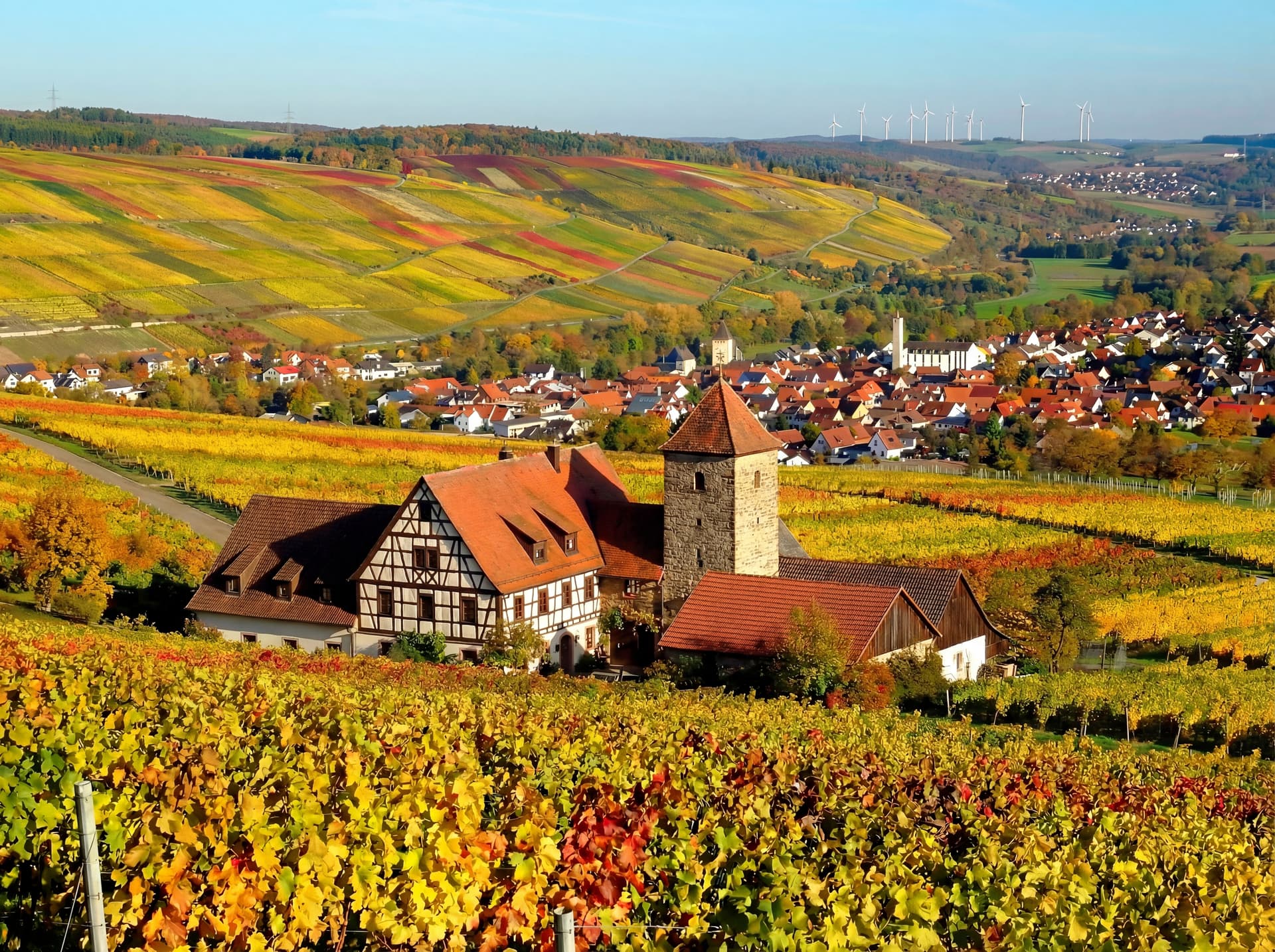 Weingut Ketterberg inmitten der Weinberge